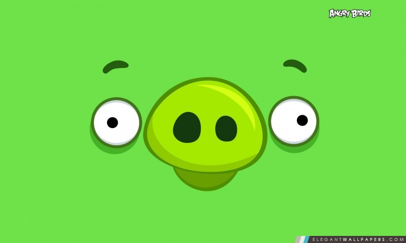 Angry Birds Pig heureux, Arrière-plans HD à télécharger