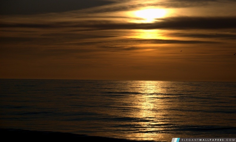 Sombre Sunset Beach, Arrière-plans HD à télécharger