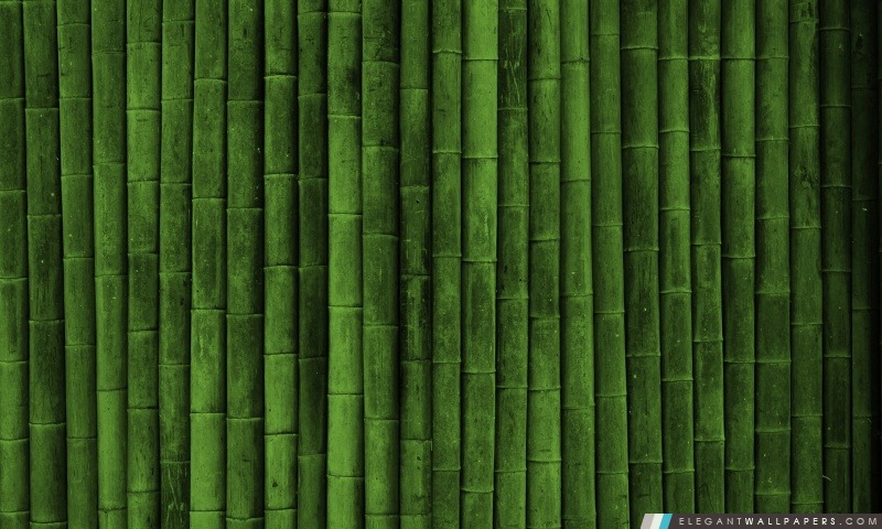 Bamboo mur, Arrière-plans HD à télécharger