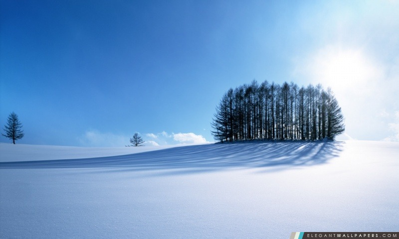 Paysage d'hiver, Japon, Arrière-plans HD à télécharger