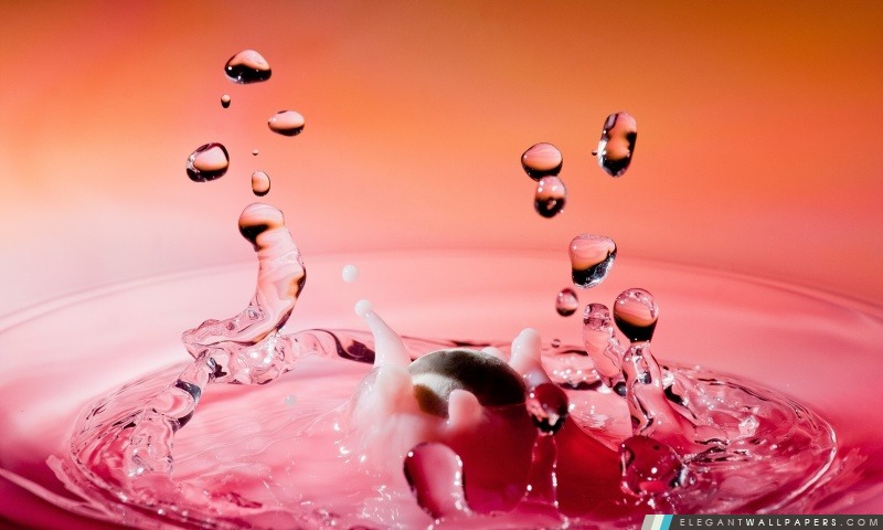 Rose Water Splash, Arrière-plans HD à télécharger