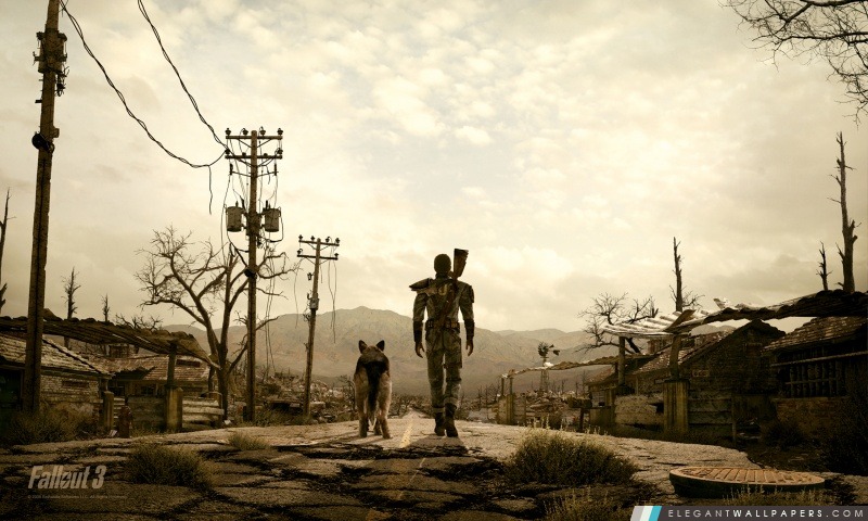 Fallout 3 homme et son chien, Arrière-plans HD à télécharger