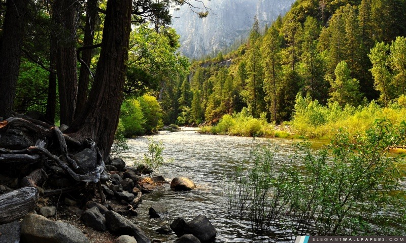 Parc national de Yosemite, Sierra Nevada, Californie, USA, Arrière-plans HD à télécharger