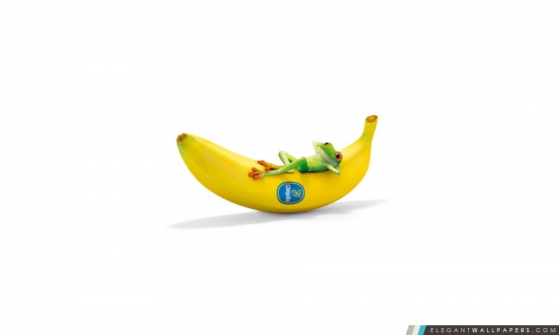Chiquita Avec drôle de grenouille, Arrière-plans HD à télécharger
