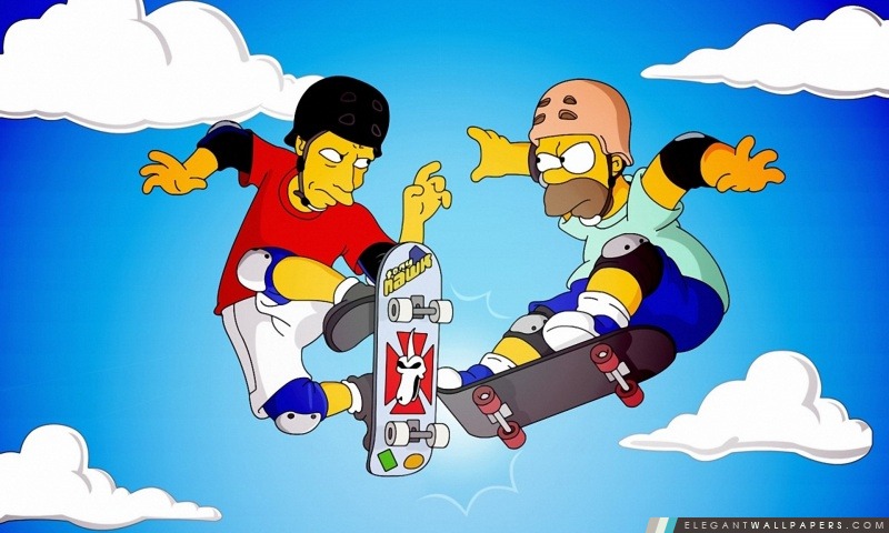 Homer Et Tony Hawk, Arrière-plans HD à télécharger