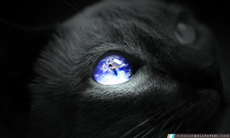 Terre Cat Eye, Arrière-plans HD à télécharger