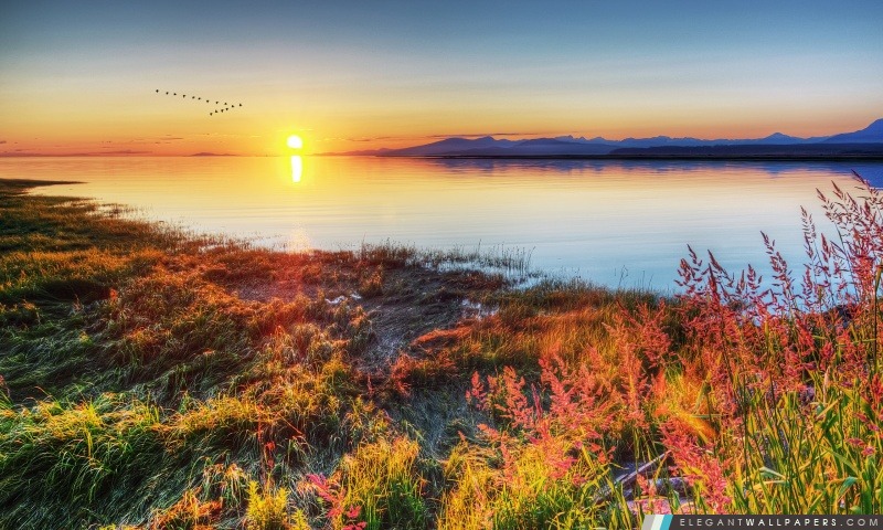Les oiseaux migrateurs survolant le lac de montagne, Arrière-plans HD à télécharger