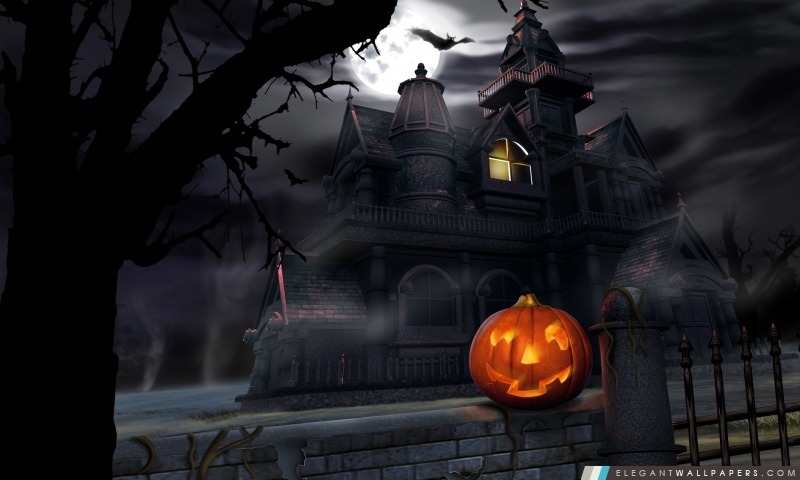 Bats maison fantasmagorique de potiron Full Moon Hallowmas Halloween, Arrière-plans HD à télécharger