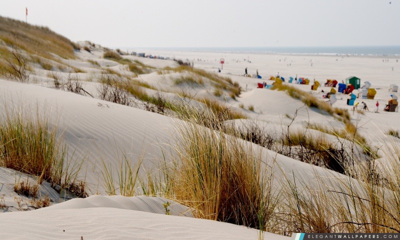 Dunes, Arrière-plans HD à télécharger