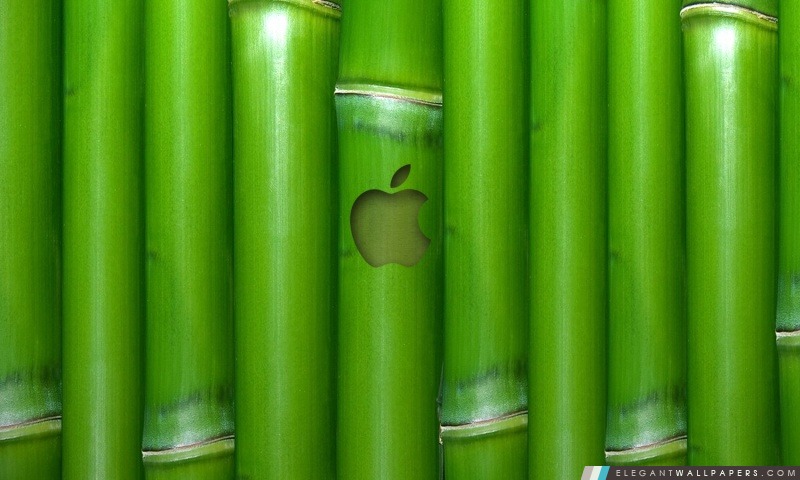 Apple Wallpaper Bamboo, Arrière-plans HD à télécharger