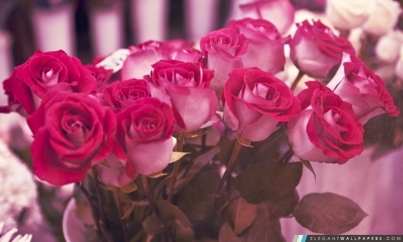 Bouquet de roses, Arrière-plans HD à télécharger