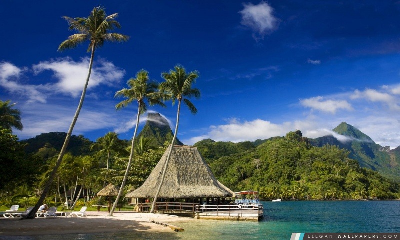 Tahiti, Arrière-plans HD à télécharger
