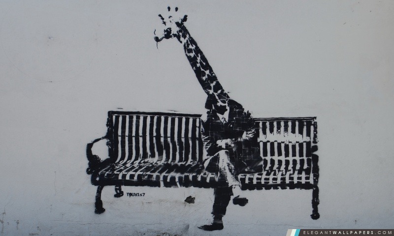 Girafe Graffiti, Arrière-plans HD à télécharger
