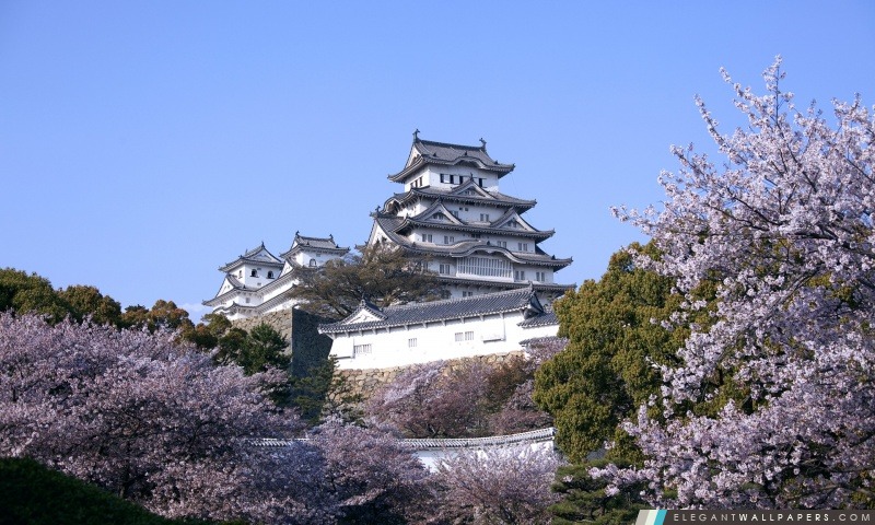 Château de Himeji et de fleurs de cerisier, Arrière-plans HD à télécharger