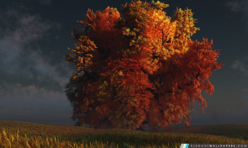 3D Arbre d'automne, Arrière-plans HD à télécharger