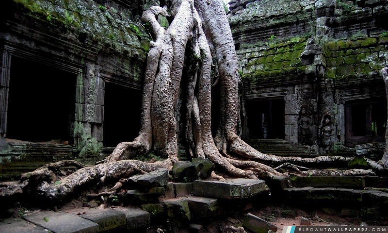 Temple d'Angkor Vat, au Cambodge, Arrière-plans HD à télécharger