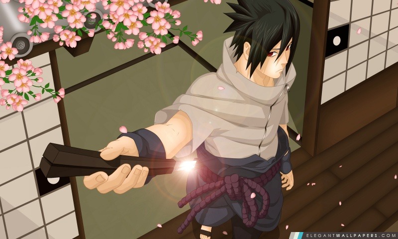 Naruto – Sasuke avant le combat, Arrière-plans HD à télécharger