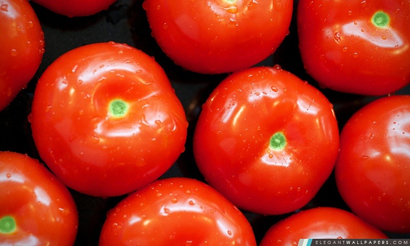 Tomates impressionnants, Arrière-plans HD à télécharger