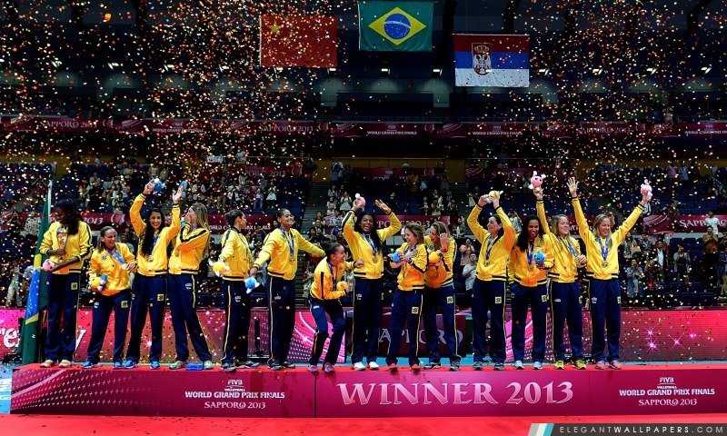 Volley-ball FIVB World Grand Prix 2013, Arrière-plans HD à télécharger