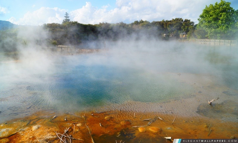 Géothermique Hot Springs, Rotorua, Nouvelle-Zélande, Arrière-plans HD à télécharger