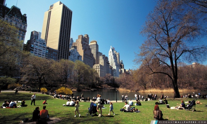 Central Park, Arrière-plans HD à télécharger