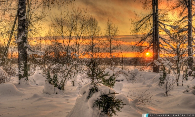 Winter Sunset, Arrière-plans HD à télécharger