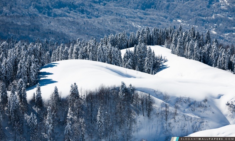 Snowy Mountain Forest, Arrière-plans HD à télécharger