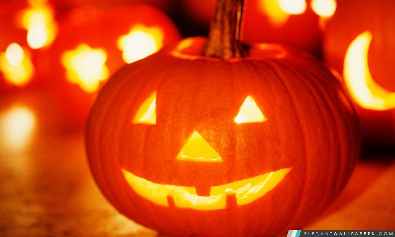 Halloween Jack-o'-lantern, Arrière-plans HD à télécharger