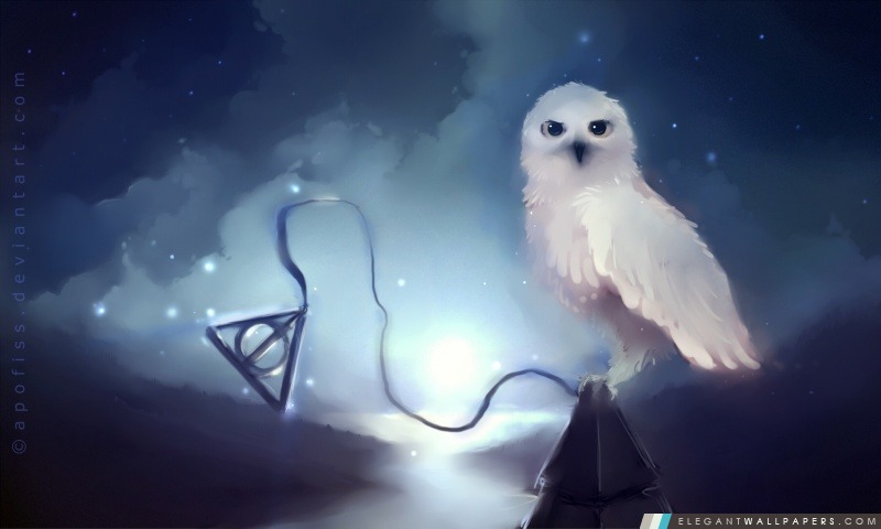 White Owl peinture, Arrière-plans HD à télécharger