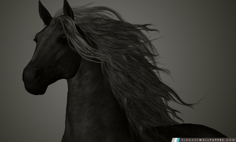 The Black Horse, Arrière-plans HD à télécharger