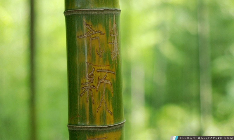 Feng Shui bâton de bambou, Arrière-plans HD à télécharger
