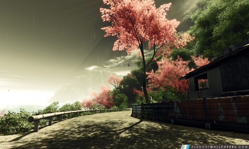 Crysis Sakura, Arrière-plans HD à télécharger