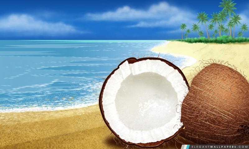Coconut exotique sur la plage, Arrière-plans HD à télécharger