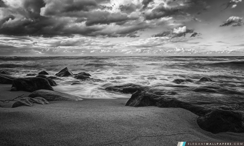 Sea Shore en noir et blanc, Arrière-plans HD à télécharger