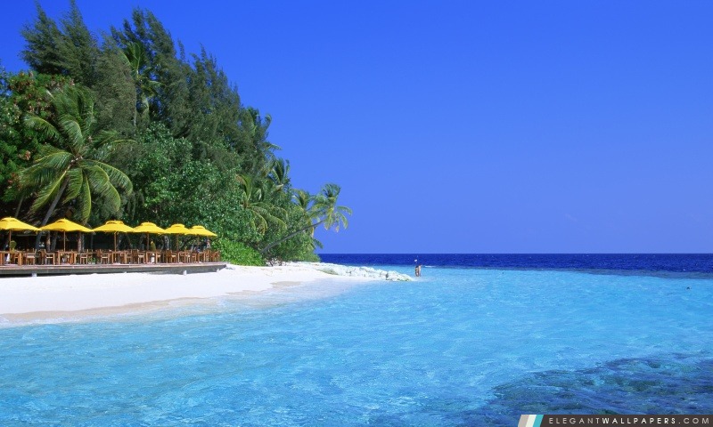 Tropical Island Resort, Arrière-plans HD à télécharger
