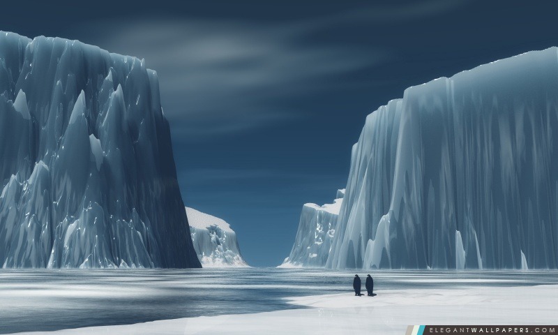 Pingouins dans l'Antarctique, Arrière-plans HD à télécharger