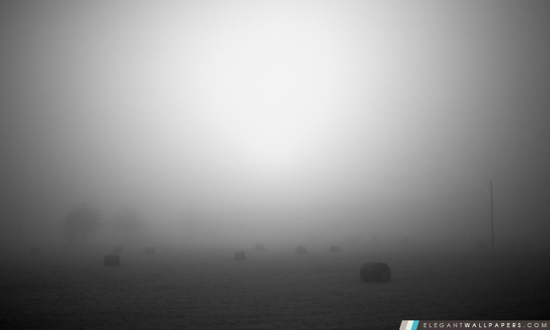 Brouillard, Arrière-plans HD à télécharger