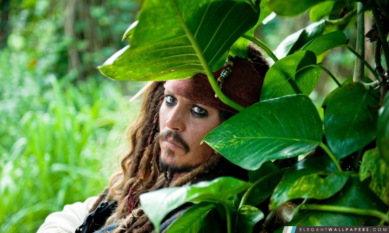Pirates des Caraïbes La Fontaine de Jouvence, Johnny Depp, Arrière-plans HD à télécharger