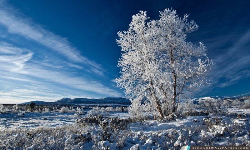 Beautiful Winter Blue Sky, Arrière-plans HD à télécharger