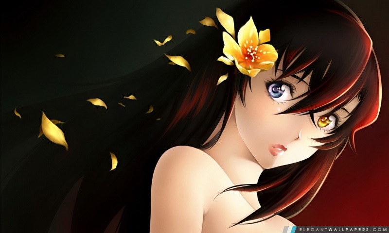 Anime Beautiful Girl, Arrière-plans HD à télécharger