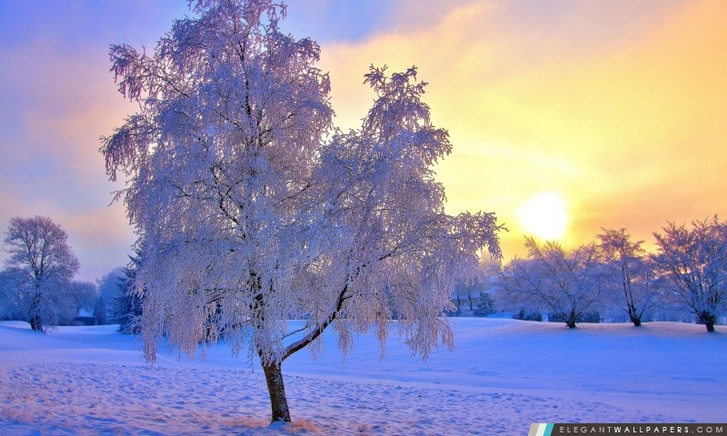 Couleur Winter Sunset, Arrière-plans HD à télécharger