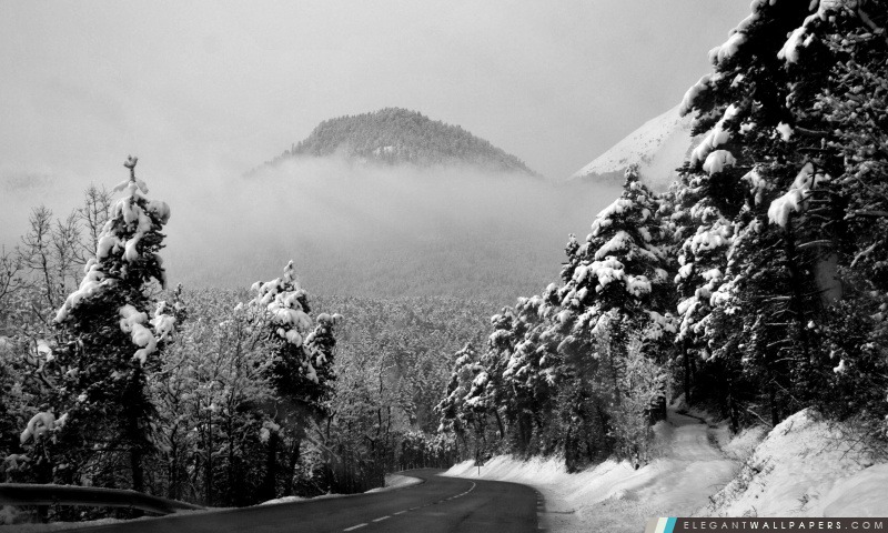 Route d'hiver en noir et blanc, Arrière-plans HD à télécharger
