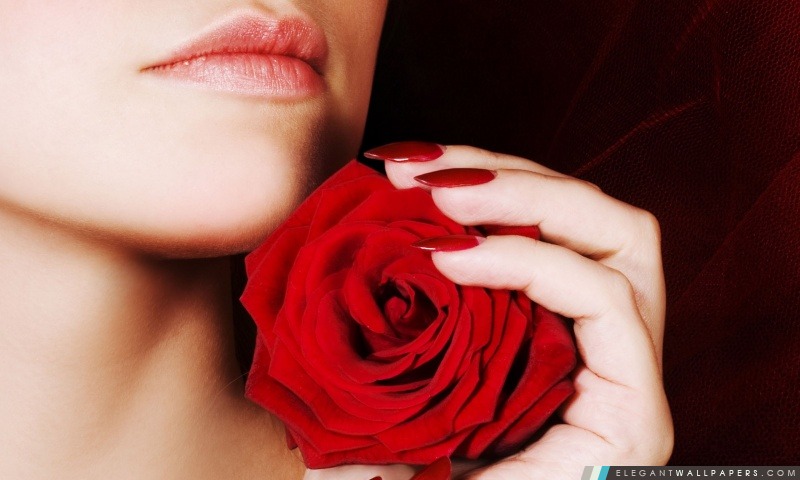 Femme tenant une rose rouge, Arrière-plans HD à télécharger