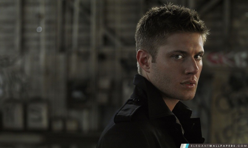 Jensen Ackles dans Supernatural, Arrière-plans HD à télécharger