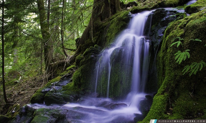 Belle cascade de forêt, Arrière-plans HD à télécharger