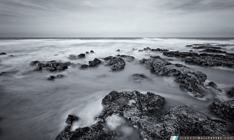 Balck et blanc de photo de mer, Arrière-plans HD à télécharger