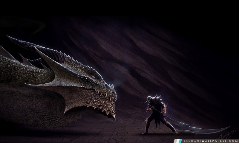 Dragon vs Hero, Arrière-plans HD à télécharger