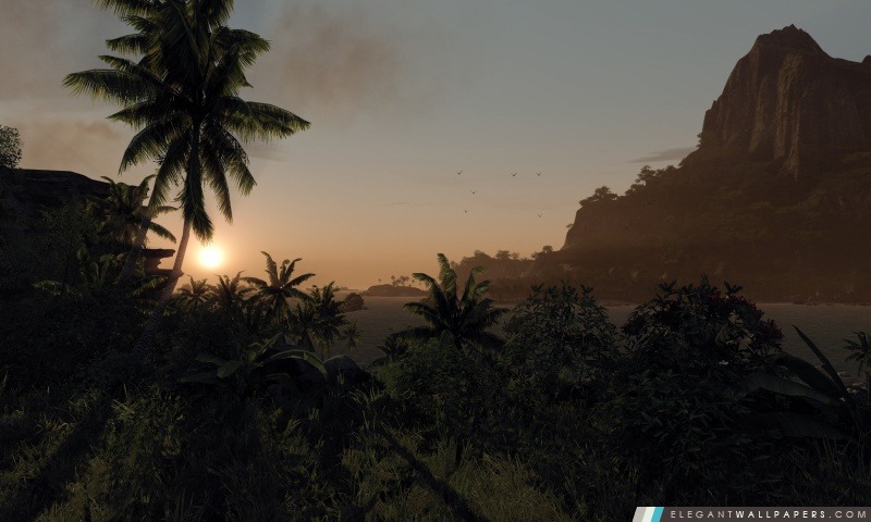 Île Crysis, Arrière-plans HD à télécharger
