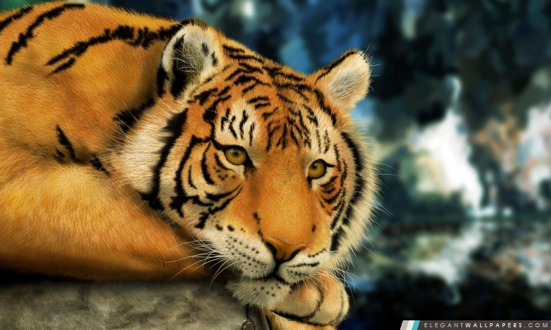Peinture de tigre, Arrière-plans HD à télécharger