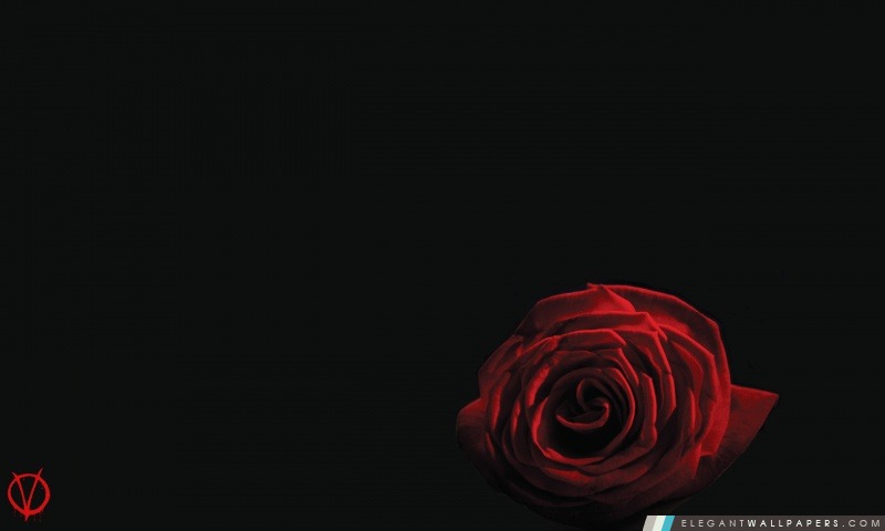 V Pour Vendetta Rose, Arrière-plans HD à télécharger